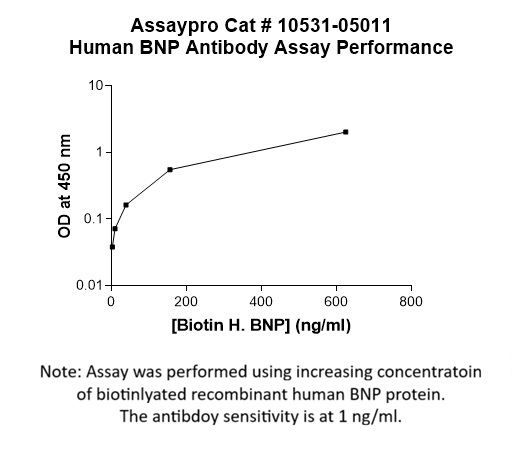 Human Brain Natriuretic Peptide (BNP) Antibody
