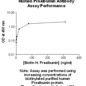 Human Prealbumin (Transthyretin, TTR) Antibody