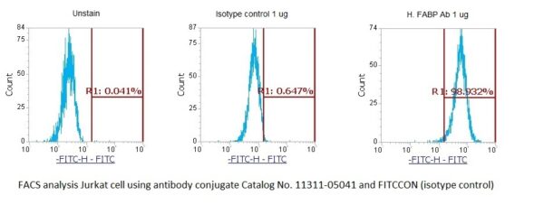 Human Fatty Acid-Binding Protein (FABP) AssayLite Antibody (FITC Conjugate)
