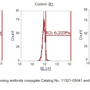 Human Ferritin (Liver) AssayLite Antibody (FITC Conjugate)
