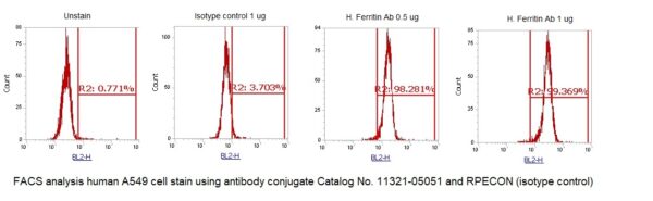 Human Ferritin (Liver) AssayLite Antibody (RPE Conjugate) - Image 2
