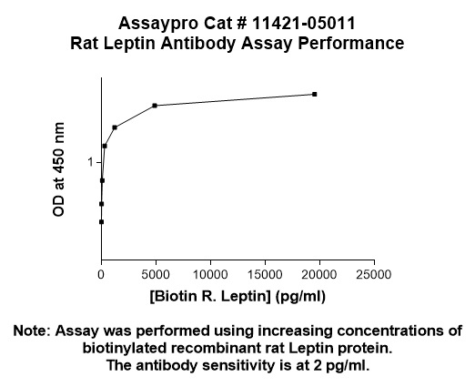 Rat Leptin Antibody
