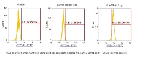 Human alpha-2-Macroglobulin (A2M) AssayLite Antibody (FITC Conjugate)