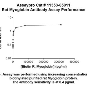 Rat Myoglobin (Mb) Antibody