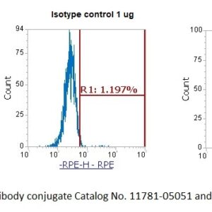 Human Protein S AssayLite Antibody (RPE Conjugate)