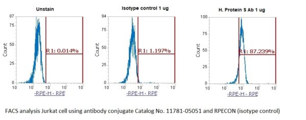 Human Protein S AssayLite Antibody (RPE Conjugate)