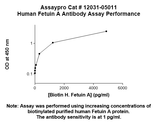 Human Fetuin-A (Alpha-2-HS-Glycoprotein) Antibody
