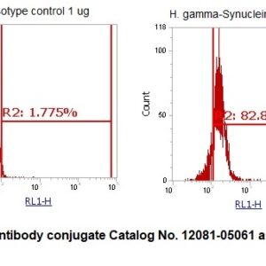 Human gamma-Synuclein AssayLite Antibody (APC Conjugate)