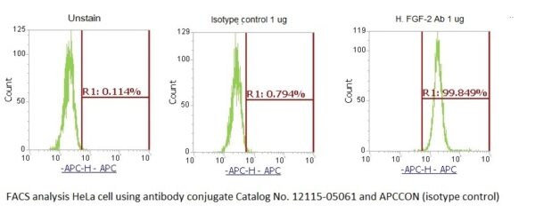 Human Fibroblast Growth Factor 2 (FGF-2) AssayLite Antibody (APC Conjugate) - Image 2