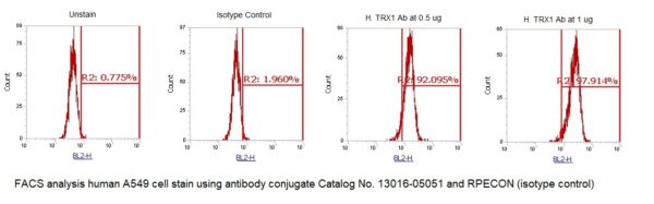 Human Thioredoxin-1 (TXN1) AssayLite Antibody (RPE Conjugate)