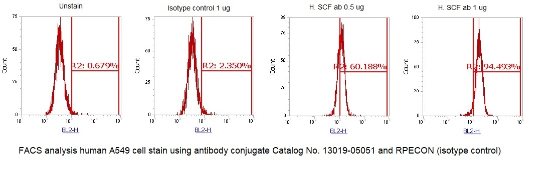 Human Stem Cell Factor (SCF) AssayLite Antibody (RPE Conjugate)