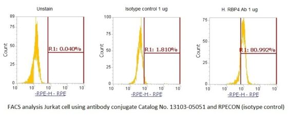 Human Retinol-Binding Protein 4 (RBP4) AssayLite Antibody (RPE Conjugate)