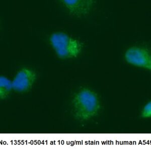 Human C1QBP AssayLite Antibody (FITC Conjugate)