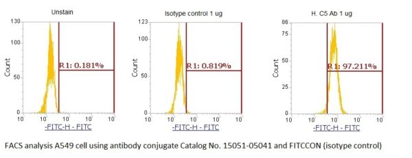 Human Complement C5 AssayLite Antibody (FITC Conjugate)