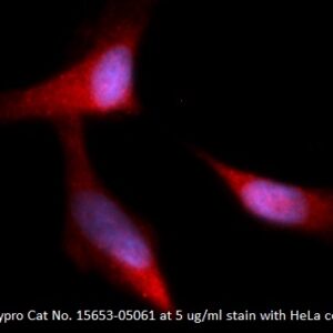 Human Complement Factor H AssayLite Antibody (APC Conjugate)