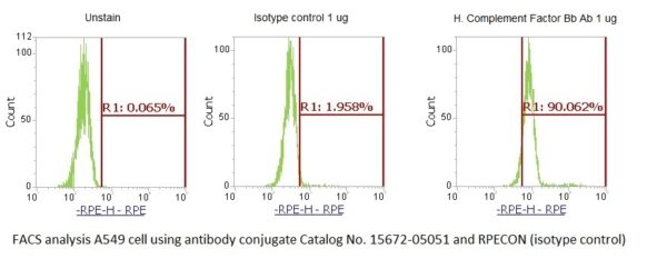 Human Complement Factor Bb AssayLite Antibody (RPE Conjugate) - Image 2