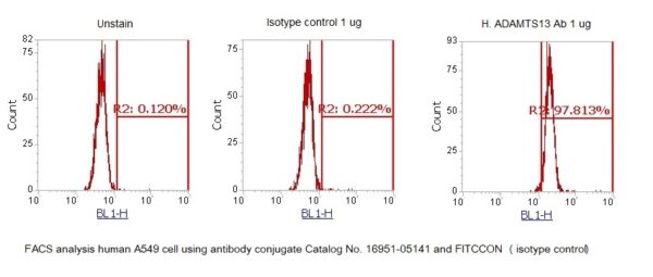 Human ADAMTS13 AssayLite Antibody (FITC Conjugate) - Image 2