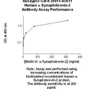 Human Synaptobrevin-2 Antibody (Biotin Conjugate)