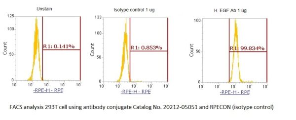 Human Epidermal Growth Factor (EGF) AssayLite Antibody (RPE Conjugate)