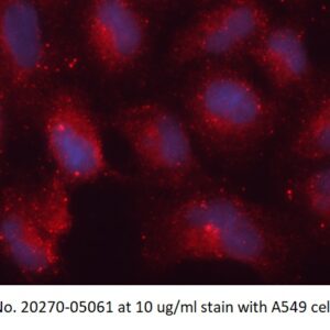 Human Heat Shock Protein 70 (HSP70) AssayLite Antibody (APC Conjugate)