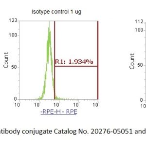 Human Heat Shock Protein 60 (HSP60) AssayLite Antibody (RPE Conjugate)