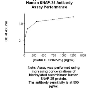 Human Synaptosomal-associated Protein 25 (SNAP-25) Antibody
