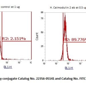 Human Calmodulin 2 AssayLite Antibody (FITC Conjugate)