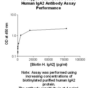 Human Immunoglobulin A2 (IgA2) Antibody (Biotin Conjugate)