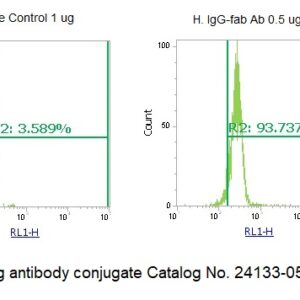 Human Immunoglobulin G  (IgG-Fab) AssayLite Antibody (APC Conjugate)