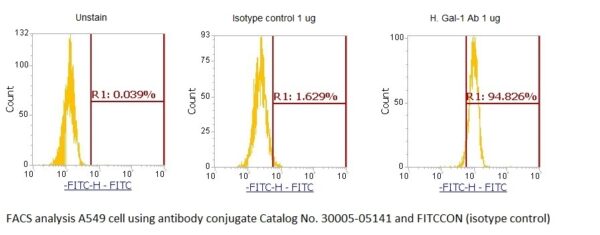Human Galectin-1 (Gal-1) AssayLite Antibody (FITC Conjugate)