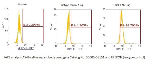 Human Galectin-1 (Gal-1) AssayLite Antibody (RPE Conjugate) - Image 2