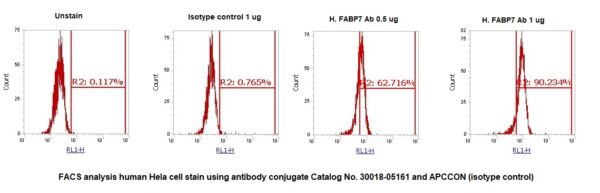 Human Fatty Acid-Binding Protein 7 (FABP7) AssayLite Antibody (APC Conjugate)