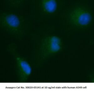 Human Pyruvate Dehydrogenase Kinase Isoform 1 (PDK1) AssayLite Antibody (FITC Conjugate)