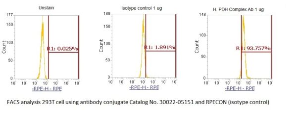 Pyruvate Dehydrogenase Complex (PDH Complex) AssayLite Antibody (RPE Conjugate) - Image 2