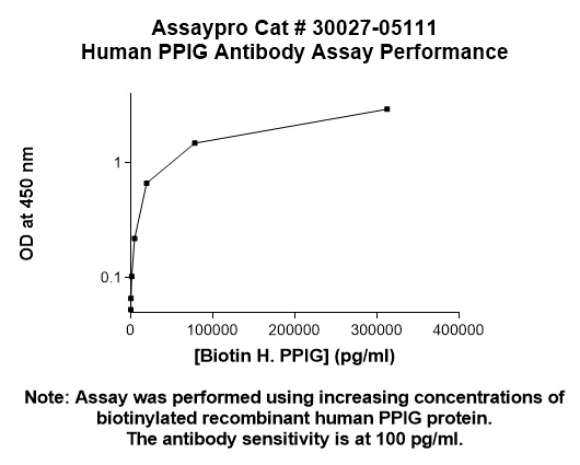 Human Cyclophilin G (PPIG) Antibody