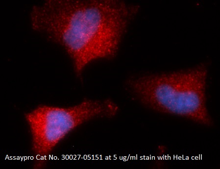 Human Cyclophilin G (PPIG) AssayLite Antibody (RPE Conjugate)
