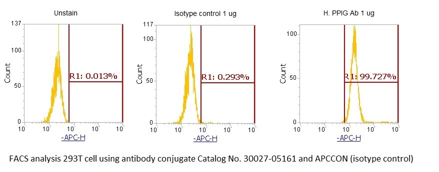 Human Cyclophilin G (PPIG) AssayLite Antibody (APC Conjugate) - Image 2