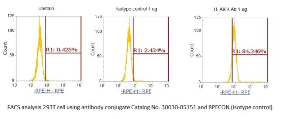 Human Adenylate Kinase 3 (AK 3) AssayLite Antibody (RPE Conjugate) - Image 2