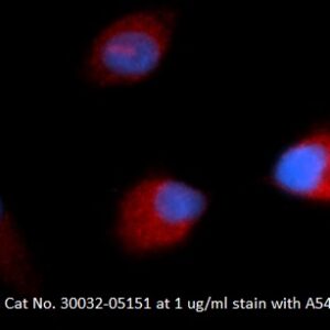 Human Macrophage Colony Stimulating Factor (MCSF) AssayLite Antibody (RPE Conjugate)