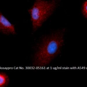 Human Macrophage Colony Stimulating Factor (MCSF) AssayLite Antibody (APC Conjugate)