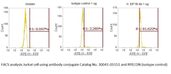 Human Eukaryotic Translation Initiation Factor 1B (EIF1B) AssayLite Antibody (RPE Conjugate) - Image 2