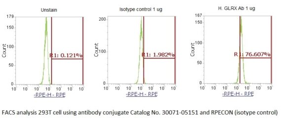 Human Glutaredoxin-1 (GLRX) AssayLite Antibody (RPE Conjugate) - Image 2