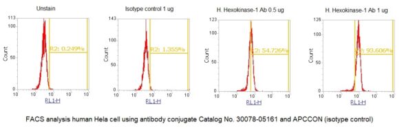 Human Hexokinase-1 AssayLite Antibody (APC Conjugate)