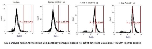 Human Galectin-7  (Gal-7) AssayLite Antibody (FITC Conjugate)