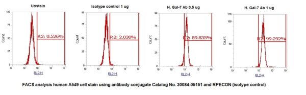Human Galectin-7  (Gal-7) AssayLite Antibody (RPE Conjugate) - Image 2