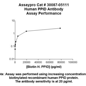 Human Cyclophilin-40  (PPID) Antibody