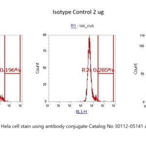 Human Annexin A4  (ANXA4) AssayLite Antibody (FITC Conjugate)