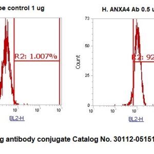 Human Annexin A4  (ANXA4) Antibody (RPE Conjugate)