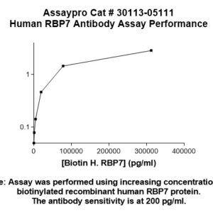 Human Retinoid-Binding Protein 7 (RBP7) Antibody