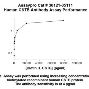 Human Cystatin-B (CSTB) Antibody